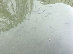 -三江森林温泉度假区