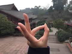 -峨眉山报国寺