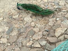 -南京金牛湖风景区