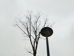 -桂溪生态公园