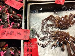 -湛江渔港·大排档(乐园路总店)