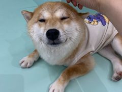 -怪兽屋·羊驼·猫咖·狗咖(俊华广场店)