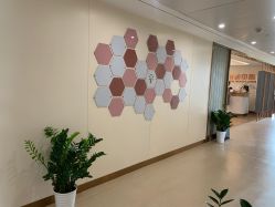 -杭州海亮医院 · 禾芸嘉医美中心