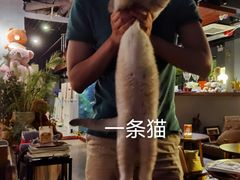 -咖法森林·咖啡  酒吧(天河店)