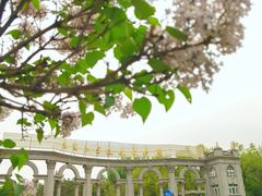 -黑龙江省森林植物园
