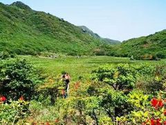 -大围山国家森林公园