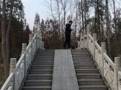 -合肥滨湖国家森林公园