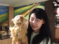 -藦茜花园宠物主题亲子互动体验馆(国顺东路店)