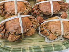 -蟹天蟹地农家菜·阳澄湖大闸蟹(浅水湾店)