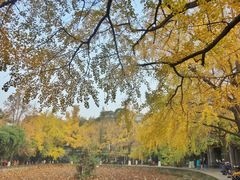 -四川大学(华西校区)