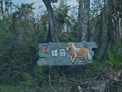 -海南热带野生动植物园