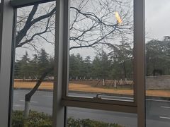 -仙林中心(地铁站)