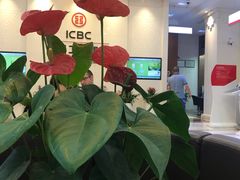 -中国工商银行(南京西路支行)