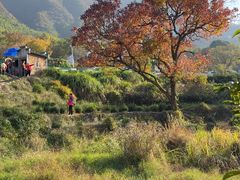 -塔川景区