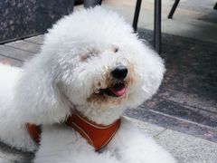 -街角 T·COFFEE 融合料理·BISTRO(车公庙店)