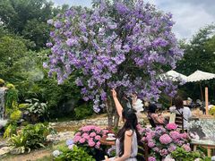 -HERRE·FARM 赫尔露营农场·团建聚会包场