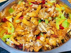干锅牛蛙-馋嘴蛙火锅