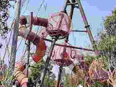 -枫香湖儿童公园