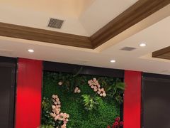 -辛香味烧鱼馆·非遗技艺·排骨红烧肉(光谷医药园店)