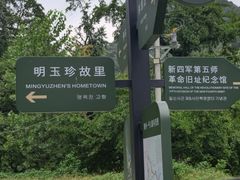 -千年银杏谷文化旅游区