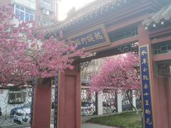 -桃花堤公园