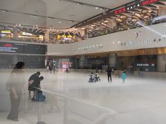 -TheRink大零溜冰场(IFS国金中心店)