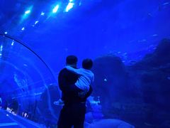 -成都浩海立方海洋公园