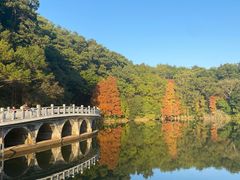 -深圳仙湖植物园