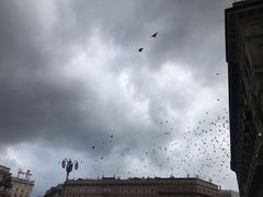 -埃马努埃莱二世拱廊