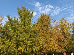 -袁大头包子(光华路店)