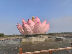 -白洋淀景区