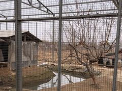 -河北村民俗体验园