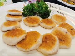 -丰食农家乐