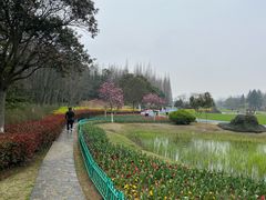-宜兴龙背山森林公园