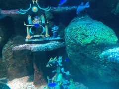 -沈阳海洋探索中心