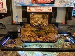 -蟹道乐(道顿堀本店)