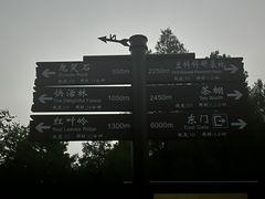 -鬼笑石后山停车场