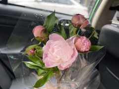 -靳晖金百合花艺GOLDENLILY(南院门店)