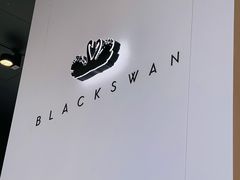 -BLACKSWAN黑天鹅(环球店)