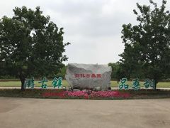 -御林古桑园