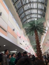 -复旦大学附属妇产科医院(杨浦院区)