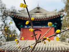 -国家植物园