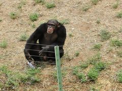 -石家庄市动物园