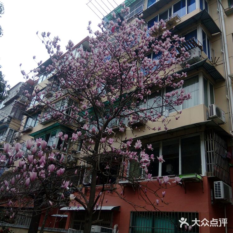 Spring  is  Coming！