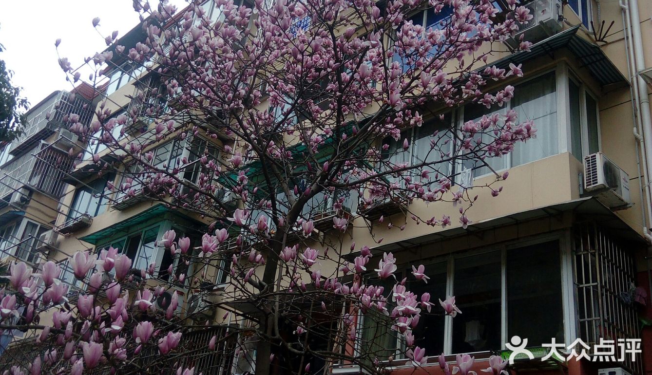 Spring  is  Coming！