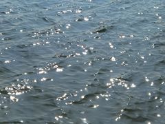 -西安浐灞国家湿地公园