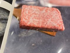 -一品粤珍轩(吴中路店)
