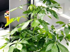 -新东方斯芬克艺术留学作品集培训(郑州校区)