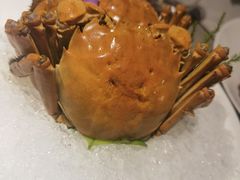 -福玺荟(外滩罗斯福店)