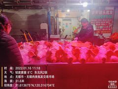 -无锡天鹏食品城